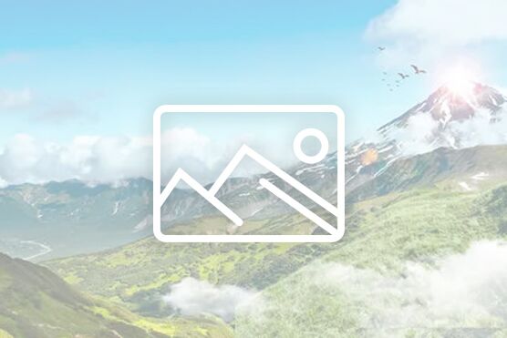 审计处党支部开展党员学习活动